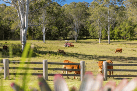 The Farm - Noosa Hinterland